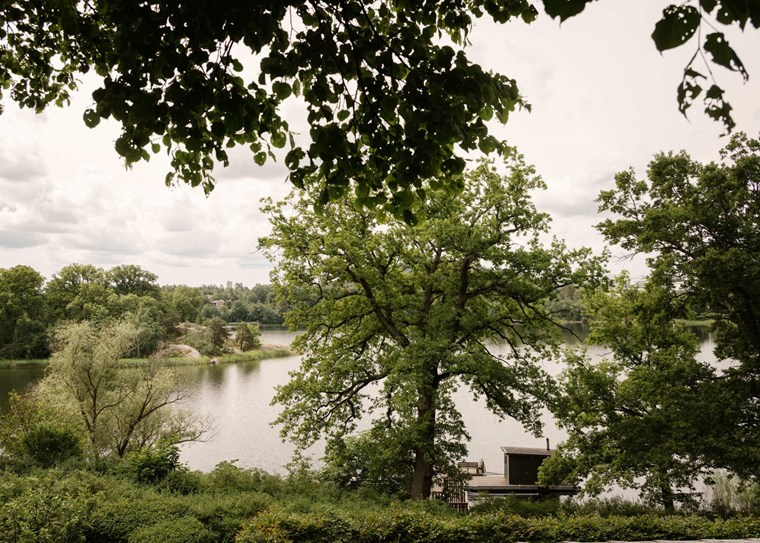 Surroundings_DSC5757