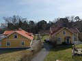 DJI_0386